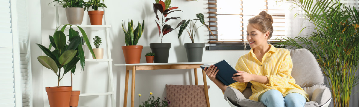 Könyvtündér Webáruház