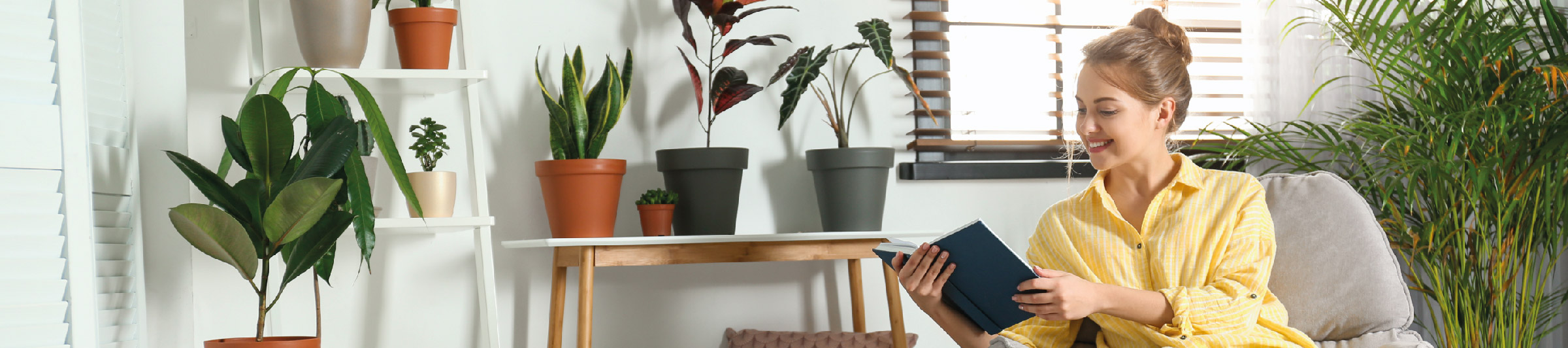 Könyvtündér Webáruház