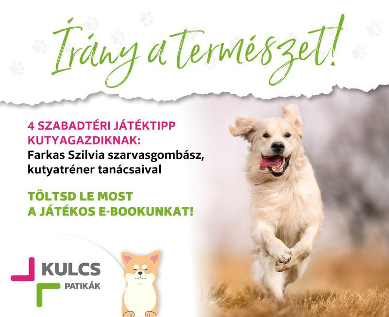 Kutyatartás nyáron - hogyan készüljünk fel a hőségre?